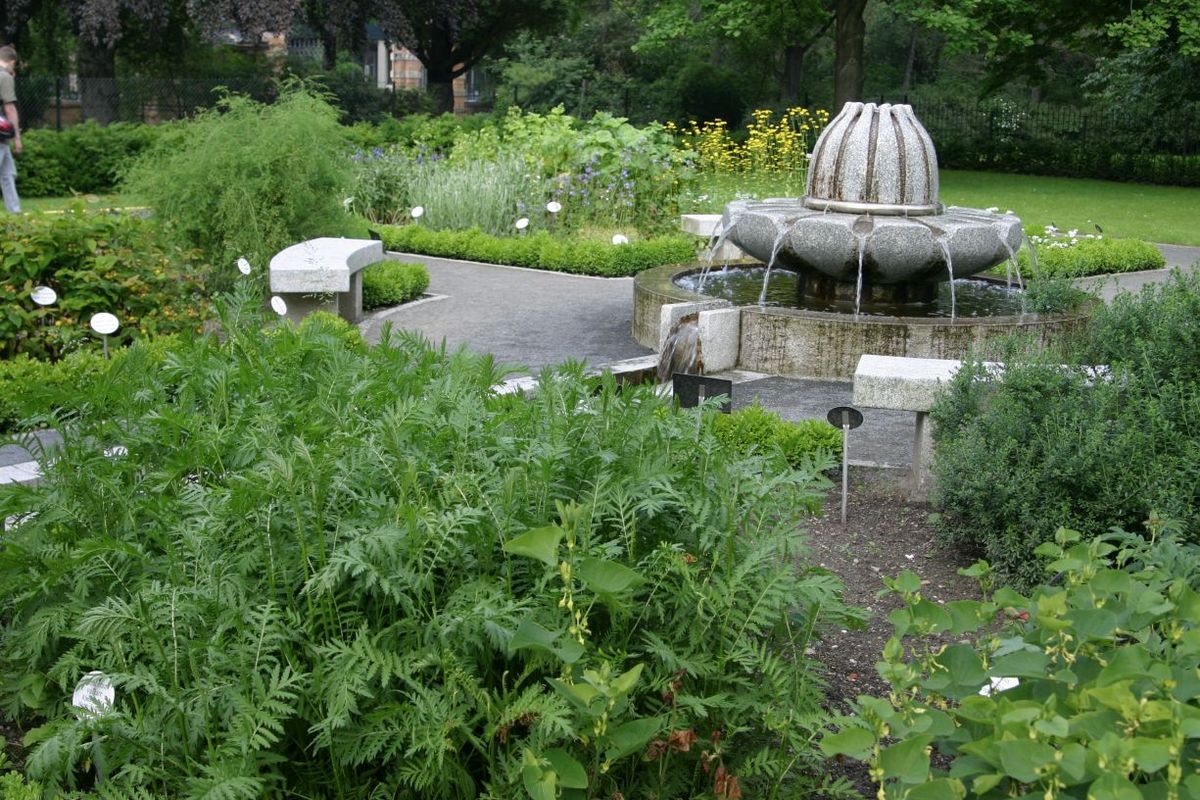 Springbrunnen umgeben von Pflanzen im Apothekergarten im Friedenspark