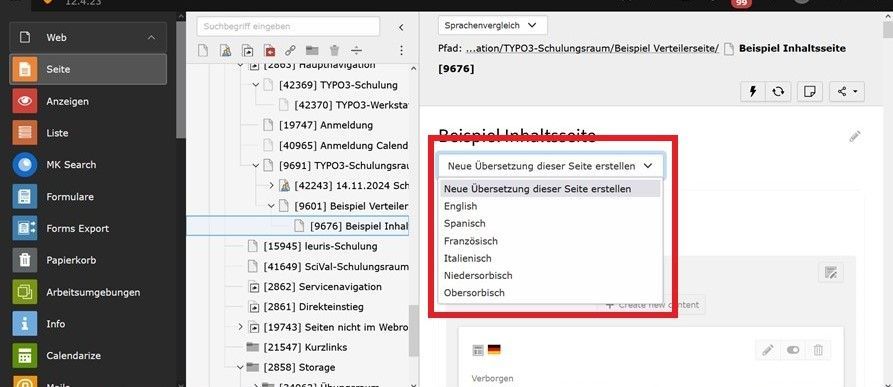 zur Vergrößerungsansicht des Bildes: Screenshot des Backends, der den Vorgang "Auswahl einer Zielsprache" visuell darstellt.