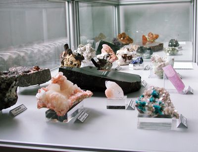 Verschiedene Mineralien und Gesteine in einem Schaukasten