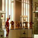 Skelette und Nachbildungen des menschlichen Körpers, so zum Beispiel von Organen, in einem Ausstellungsraum.
