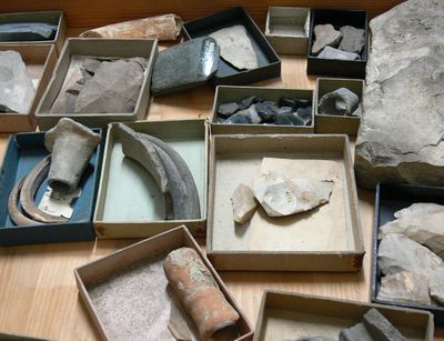 Foto: verschiedene Objekte der Sammlung Ur- und Frühgeschichte liegen auf einem Tisch ausgebreitet.