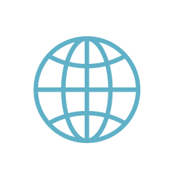 Das Icon bildet einen hellblauen Globus auf weißen Hintergrund ab.